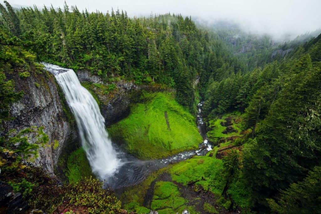 A waterfall cascades down a cliff surrounded by lush green forest, akin to the tranquil landscapes near the Louisiana Public Defender's Office, with mist-covered trees and a small stream flowing from the pool.